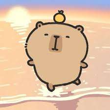 zjdfjx zjdfjx Profile Picture